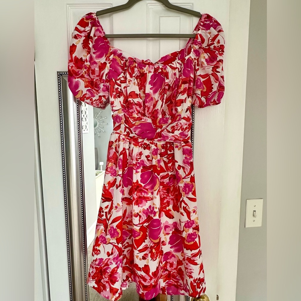 Floral Print Puff Sleeve Dress